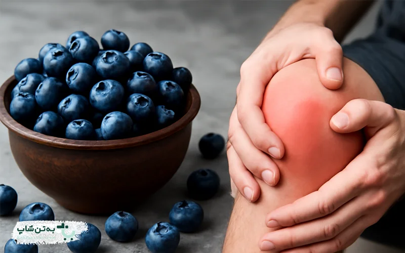 زغالاخته برای زانو درد | بهتن شاپ