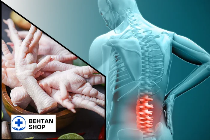 آیا پای مرغ برای دیسک کمر مفید است؟ | بهتن شاپ